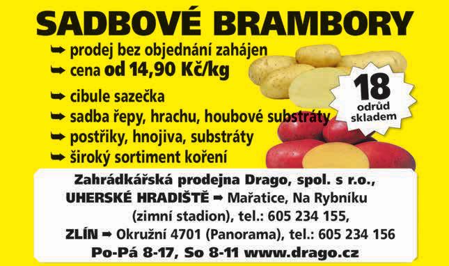 v Liberci. Nejsme bláhoví, víme, že nás čeká mimořádně těžké jaro.
