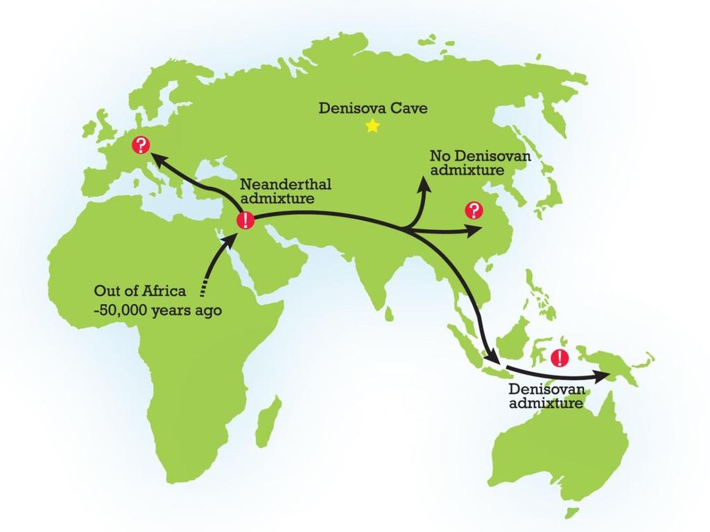 Denisované, Homo neanderthalensis a AMČ Každý člověk mimoafrického původu v sobě nese 1,5 2,1% DNA