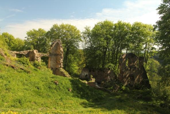 této strany schovávají. Jihozápadně 2 km od hradu se nachází bývalé královské městečko Mladá Vožice. Dějiny Mladé Vožice jsou nepochybně spjaty s dějinami hradu.