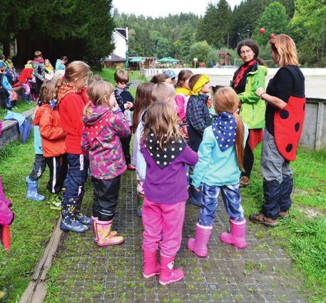 Lipka školské zařízení pro environmentální vzdělávání pracoviště Rozmarýnek