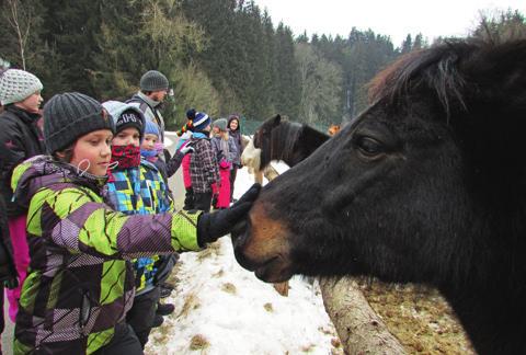 svých předcích. Na pobytu se pak postupně setkávají s předky Josefíny a seznamují se s řemesly, která vykonávali.