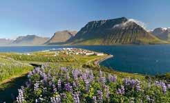 Z hornatého poloostrova Snæfellsnes se přepravíte lodí k hlavnímu turistickému ruchu Stykkishólmur Látrabjarg Grábrók vzdáleným a neprávem opomíjeným severozápadním fjordům které na vás dýchnou tou