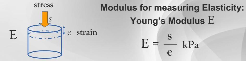 Základy elasticity lidských tkání Youngův modul pružnosti: