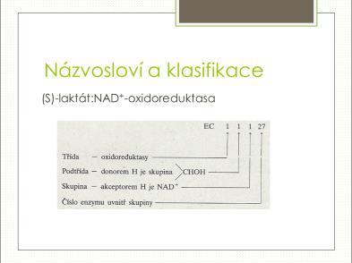 zařazení enzymu do jedné ze šesti hlavních tříd, následujících podtříd, skupin a