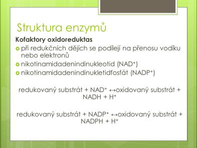 Slide 27 Slide 28 Kofaktory oxidoreduktas jsou přítomny při redukčních dějích, během kterých se podílejí na přenosu elektronů nebo vodíku.