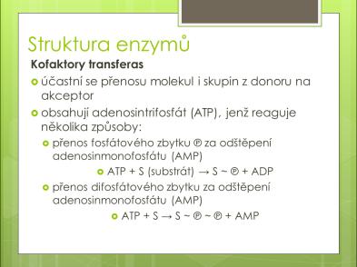 ATP + S S ~ ~ + AMP Funkce podobné jako ATP mohou mít i jiné nukleotidy guansintrifosfát (GTP), uridintrifosfát (UTP), cytidintrifosfát (CTP) kde je adenin nahrazen guaninem, uracilem, cytosinem.