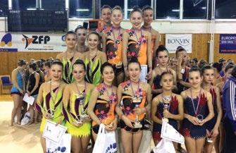 Jedná se o Fyzikální, Chemickou a Biologickou olympiádu, konverzační soutěže v cizích jazycích, Olympiádu v českém jazyce, Dějepisnou olympiádu, Středo školskou odbornou činnost a soutěžní přehlídku