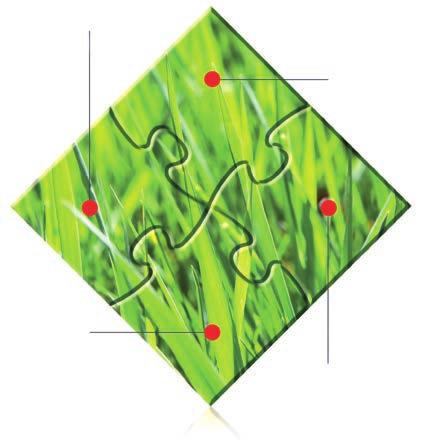 KUHN GRASSMASTER je iniciativa firmy KUHN, která má za účel informovat o důležitosti produkce kvalitních objemových složek krmiva.