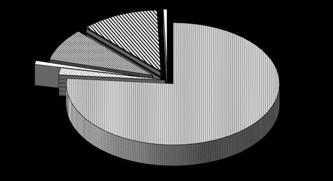 vdovecké 0,95% predčasné star. 1,81% vdovské 8,62% invalidné 11,68% sirotské 0,56% starobné 76,38% V porovnaní so stavom k 31.