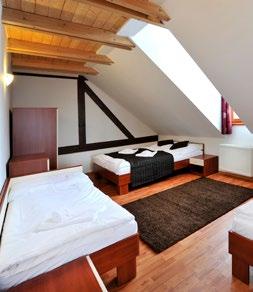 Vila Magnólia pozostáva zo 4 štúdií a 3 apartmánov zariadených v