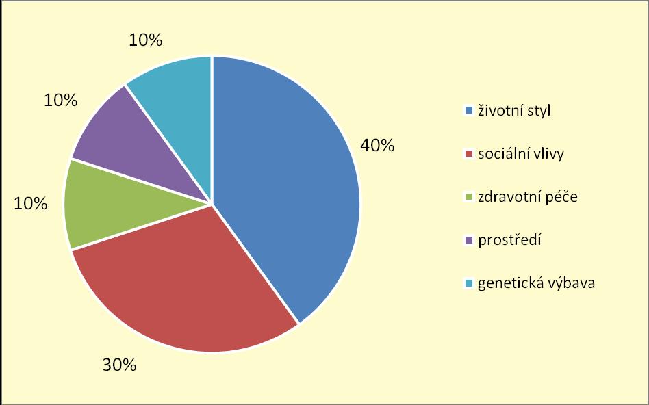 Úroveň zdravotního stavu každého člověka je pak výslednicí jeho individuálního životního stylu, životního a pracovního prostředí, rodinné (genetické) výbavy a úrovně zdravotní péče, zejména v oblasti