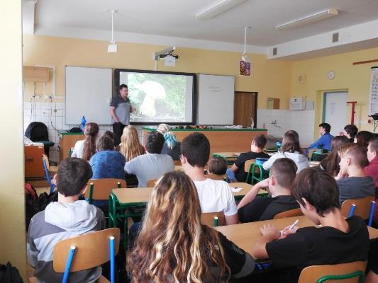 Vytahujeme je vikláním jako zub. Gorila Živí se nejen trávou a listy, ale sbírá také houby.