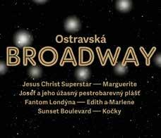 Jeho překlady muzikálů West Side Story, Funny Girl, Oliver, Flashdance či Mary Poppins patří k těm nejzdařilejším u nás. Vraťme se však k tématu, tedy k Shakespearovi.