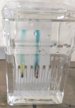 Aceton pro tento experiment není vhodný, protože látky zůstávají při dělení prakticky na startu.