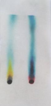 2 PAPÍROVÁ CHROMATOGRAFIE Chemikálie: ethanol, aceton Pomůcky: chromatografická komora, 2 filtrační papíry (3,9 x 8,5 cm), kancelářské sponky, 2 různé černé fixy (Centropen a Koh-I-Noor Hardtmuth),