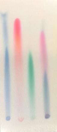 3.2 CHROMATOGRAFIE INKOUSTŮ DO PLNÍCÍCH PER Chemikálie: destilovaná voda, ethanol, inkousty do plnících per (modrá, červená a zelená barva - Koh-i-noor Hardtmuth) Pomůcky: kapiláry, chromatografická
