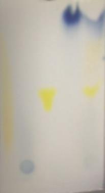 methyloranž, thymolftalein, methylčerveň, thymolová modř, směs) Obrázek 46: chromatogram po 16