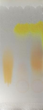 Obrázek 47: chromatogram po vyjmutí z chromatografické komory (zleva methyloranž, fluorescein, jejich směs) Obrázek 48: chromatogram po ponoření do par chlorovodíku