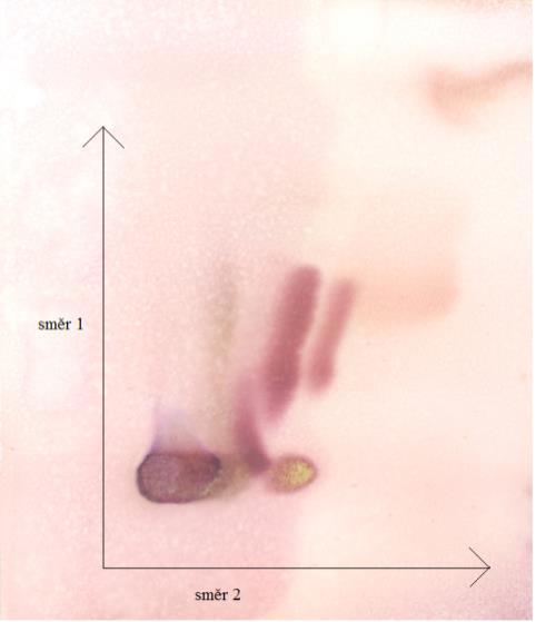 dne. Z časových důvodů jsem s chromatografickou deskou pracovala po uplynutí jednoho týdne. Poté jsem přistoupila k druhé fázi pokusu. Začala jsem přípravou druhé směsi rozpouštědel.