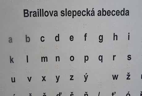 V projektu jsme vyšli z empiricky zjištěných skutečností a to takových, že pro upevnění, osvojení a pochopení hloubky problému, je nejlepší prožitek dané situace.