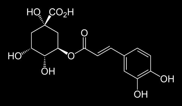 4.2.2 Účinky prokyanidinu B2 na lidské zdraví Studie [46] zabývající se biologickými účinky proanthokyanidinů uvádí, že prokyanidin B2 je účinný antioxidant poskytující ochranu buněk před oxidačním