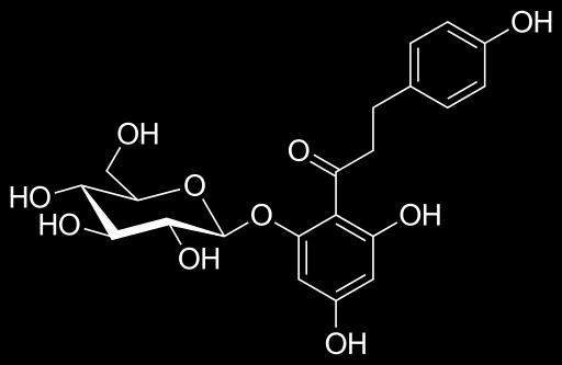 Obrázek 20: Floridzin 4.5.2 Účinky floretinu a floridzinu na lidské zdraví Jak uvádí studie [42], floridzin je specifickým a kompetitivním inhibitorem SGLT-1 (sodium glucose transporter).
