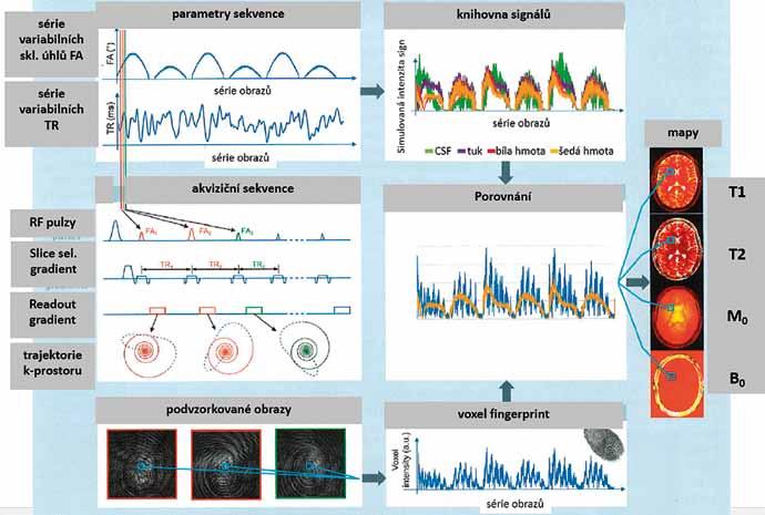 Each profile is compared with database of synthetic profiles and the best agreement defines values of T1, T2, spin