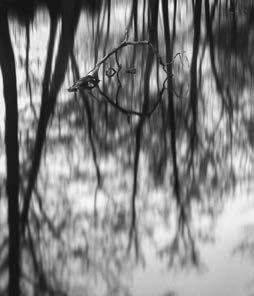 577 Vít Kocián Pařát 2014, fotografie,