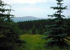VRCH LESNÝ Foto: www.marianskelazne.cz Vrch Lesný je nejvyšším vrcholem Slavkovského lesa (982 m.n.m.) 50.035323 12.615993 Vrch Lesný je nejvyšším vrcholem Slavkovského lesa (982 m.n.m.). Na jeho úpatí leží Lázně Kynžvart.