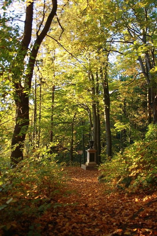 VALDŠTEJNŮV MONUMENT Foto: www.marianskelazne.cz Pomník se nachází na plošině nad ředitelstvím Léčebných lázní M.L. a.s.. 49 58'44.279"N 12 42'26.