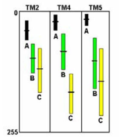 Obrázek 103 Graf koincidence pro pásma TM2, TM4 a TM5 (Dobrovolný, 2005) Je potřebné rozhodnout o výběru pásem. Hodnotí se divergence mezi pásmy a vybírají vhodná pásma pro klasifikaci. 12.4.1.2 Klasifikační stádium První krokem je volba klasifikátoru.