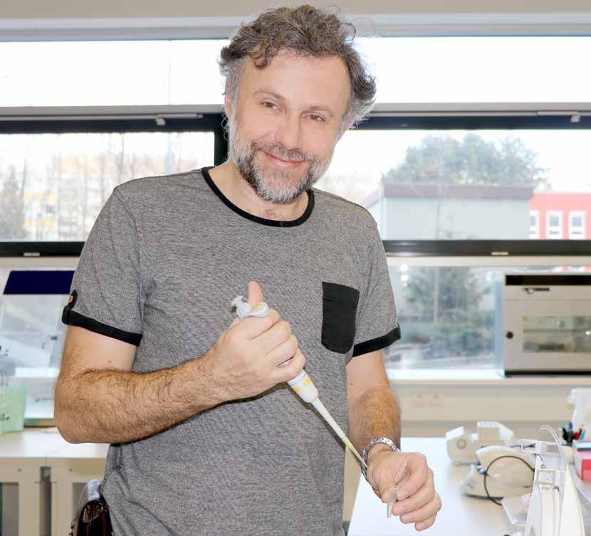 LIDÉ Vidíme do doby lovců mamutů Díky molekulární biologii mohou ekologové porozumět tomu, jak dávná historie ovlivňuje dnešní chování rostlin, vysvětluje prof. Mgr. Bohumil Mandák, Ph.D., který byl nedávno jmenován profesorem pro obor Ekologie.
