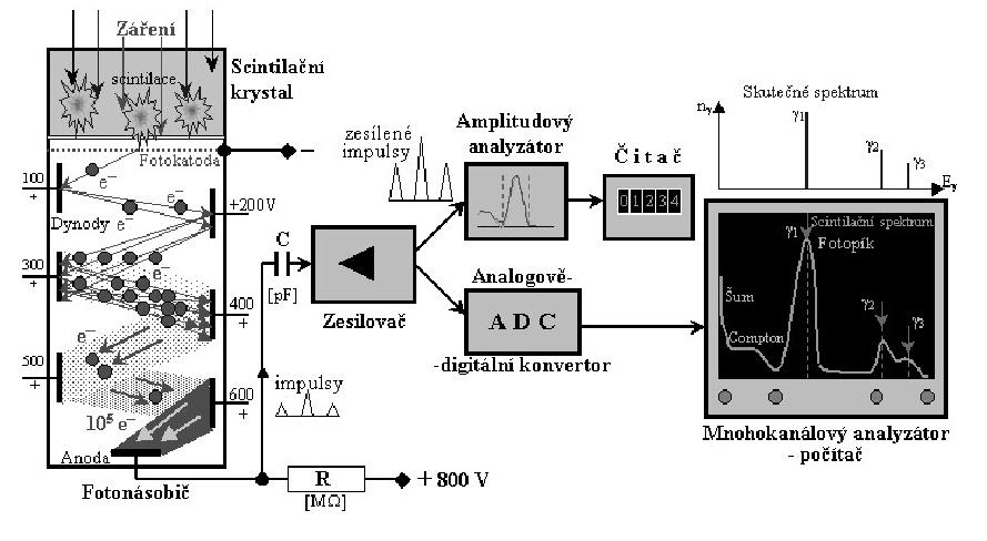 5 Experimentální uspořádaní Obrázek 2: Druhy interakce gama záření s hmotou. K detekci gama fotonů využíváme scintilační detektory. Schéma scintilačního detektoru je na obrázku 3.