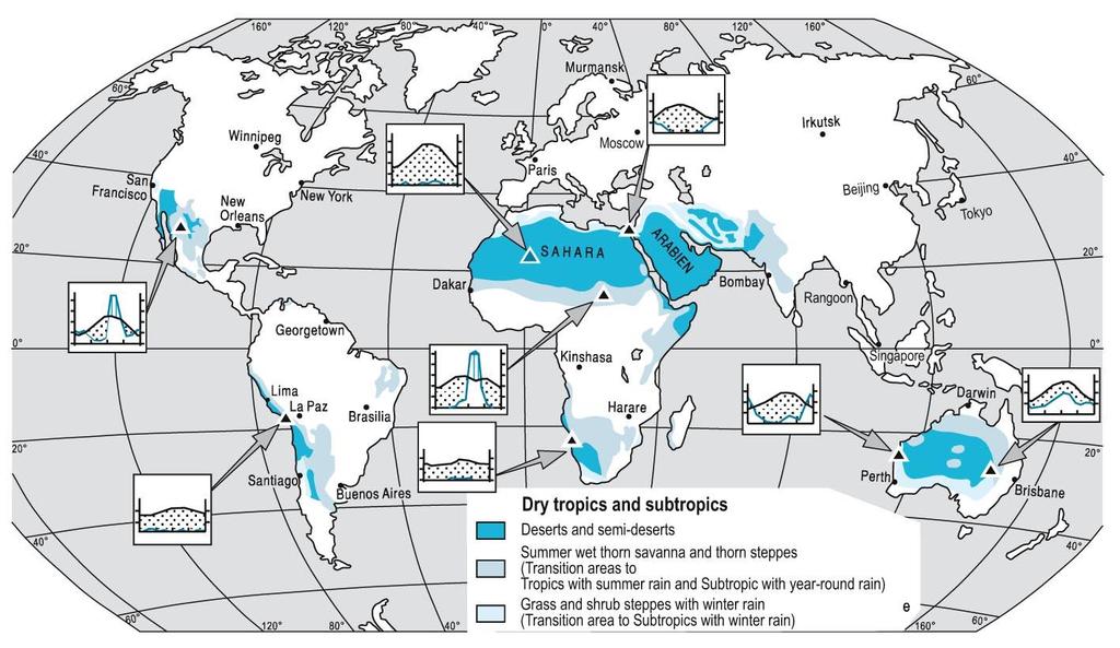 Zonální subtropické pouště Sahara 9 mil km 2, Arabská a Negevská poušť, Irán, Afgánistán, Pákistán, Západoindická poušť Mohavská a Sonorská poušť, Chihuahua Monte,