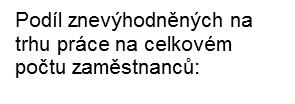 před dosažením důchodového věku, osoby bez domova 13.