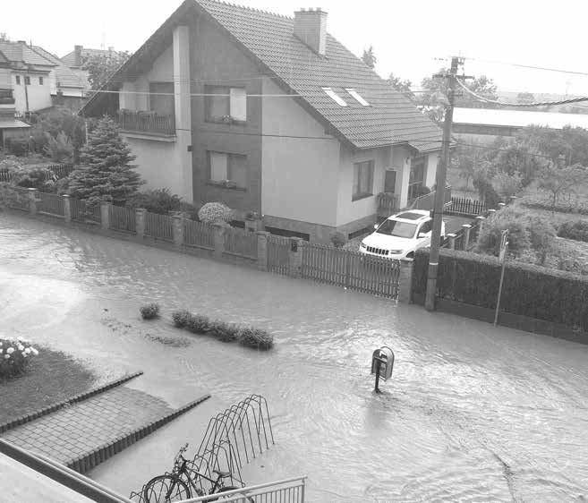 Pondělí 11.
