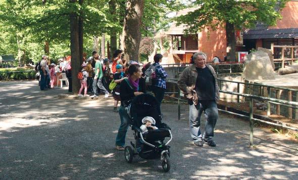 Návštěvnost webu vzrostla na 219.611 uživatelů, což znamenalo v roce 2016 1.111.807 zobrazení stránek ZOO. Nejvíce návštěvníků webu je z Prahy (30%) a z Liberce (27,5%).