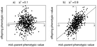 Heritabilita Hodnoty heritability se pohybují 0 1. Je-li blízká 0 malá část pozorované variability je dána genetickými rozdíly.