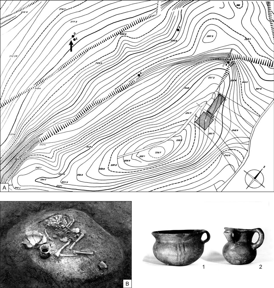 KOSTROVÉ HROBY Z DOBY POPELNICOVÝCH POLÍ NA MORAVĚ 211 Obr. 3. Blučina-Cezavy, okr. Brno-venkov. A celková situace výzkumu (podle Tihelka 1969, tab. I); B hrob D/1957 (podle Tihelka 1969, tab.