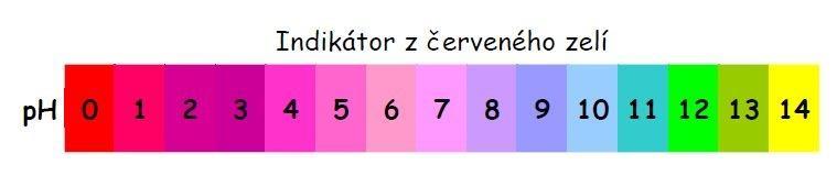 zbarvení a proto je lze vyuţít jako levné acidobazické indikátory. Uvádím však i jiné zajímavé experimenty s rostlinami, které lze vyuţít například v přírodovědeckém krouţku. 3.11.