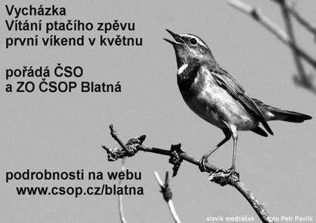Možná uvidíme či uslyšíme i ptáka roku 2017, kterým ornitologové vyhlásili datla černého (v Blatné již dlouhodobě velmi populárního šplhavce ) Zda vycházka bude v sobotu 6. května nebo v neděli 7.