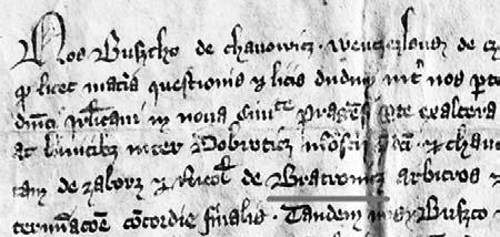 král Přemysl I. Otakar potvrzuje klášteru benedik nek u sv. Jiří na Pražském hradě jeho majetek, důchody a jurisdikci nad poddanými.