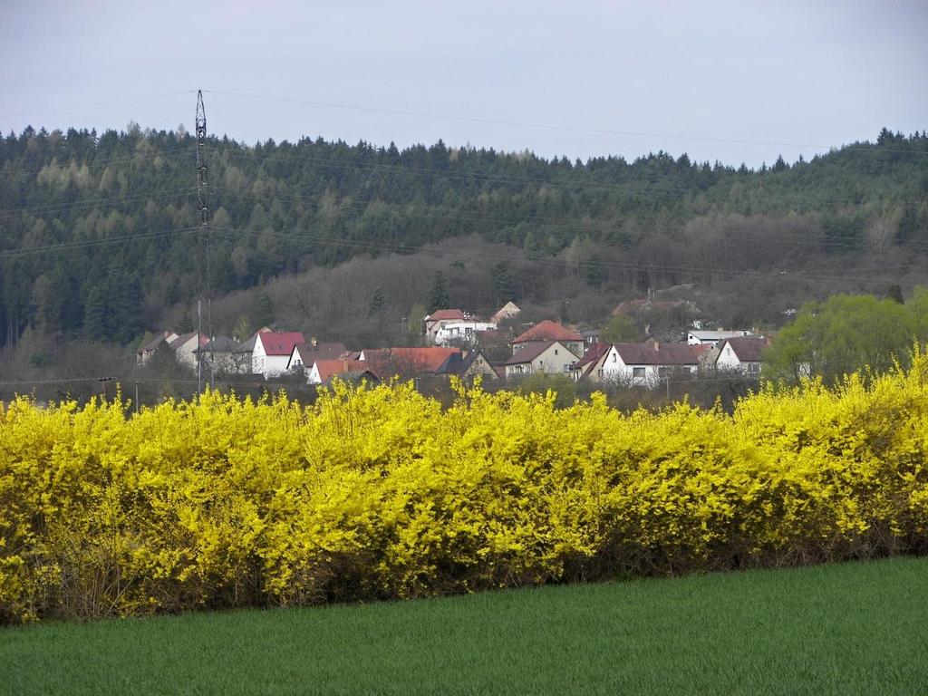 Jarní pohled na Borotín 2017 foto: Vladislav Hladil
