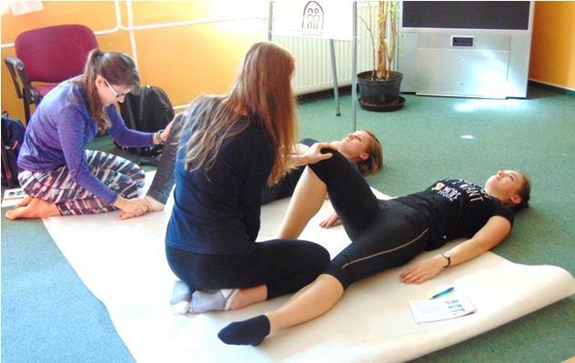 Dobrá zpráva je, že prošli a byli přijati všichni; ta horší zpráva je, že nebudeme schopni uspokojit poptávkou na rehabilitační asistenci všechny naše i dosavadní uživatele (nemluvím o seznamu