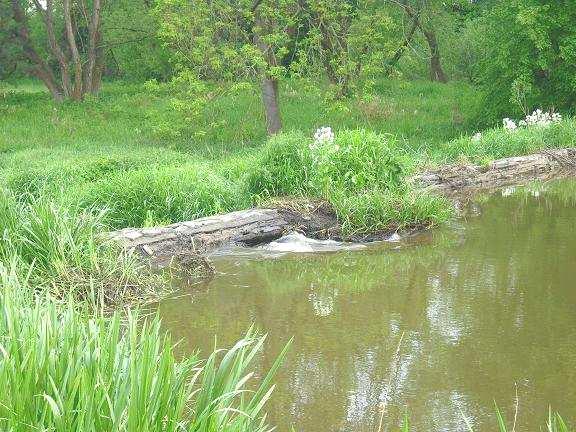 díky prezentaci na farmě Lindy Nárovcové jsme