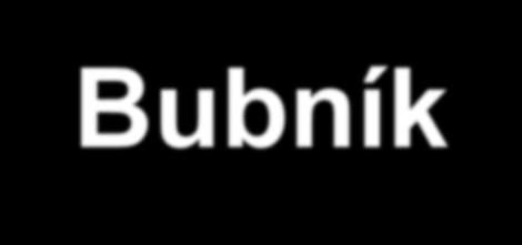 Zdeněk Bubník, CSc.