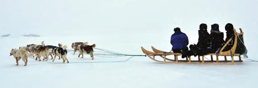 Psí spřežení / Mushing Mushing, nebo také psí spřežení, je velmi oblíbenou zimni i letní aktivitou, ke které není potřeba nic jiného