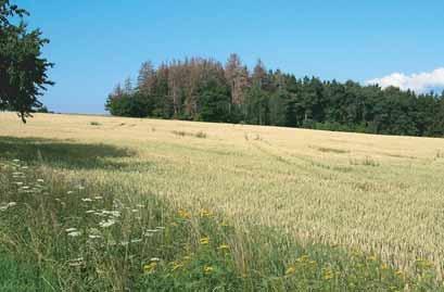 Zpravodaj ochrany lesa.