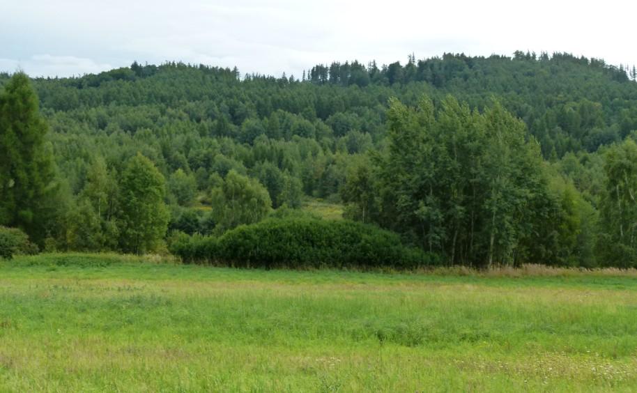 lokality Krnov Chomýž. Lokalita je porostlá pouze minimem dřevin (říjen 2000).