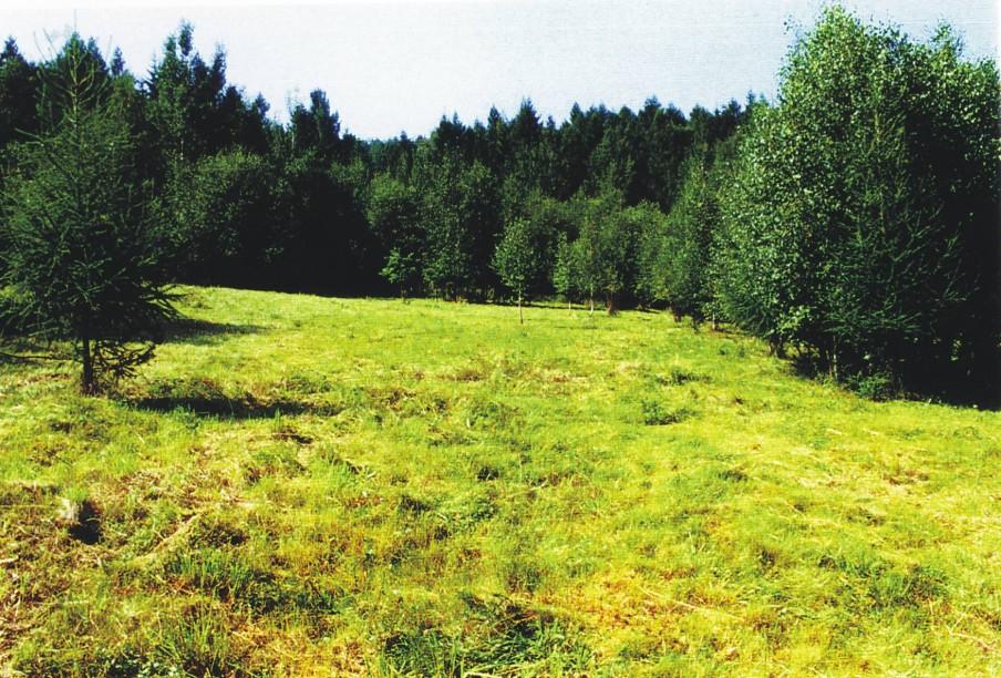 Obr č.